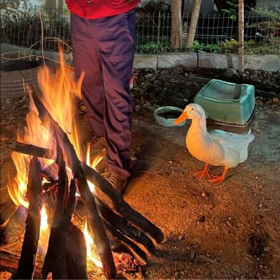 FB_IMG_1734226344185